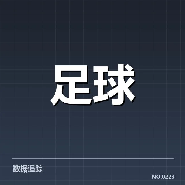 已确认的维拉球迷主要特点与规模
